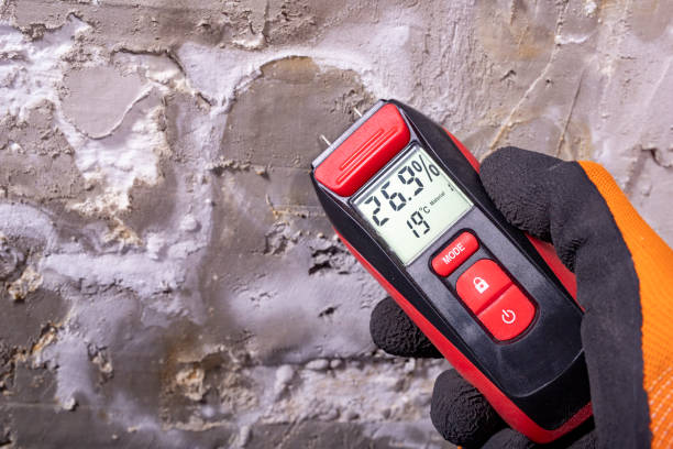 Best Toxic Mold Removal  in Poncha Springs, CO