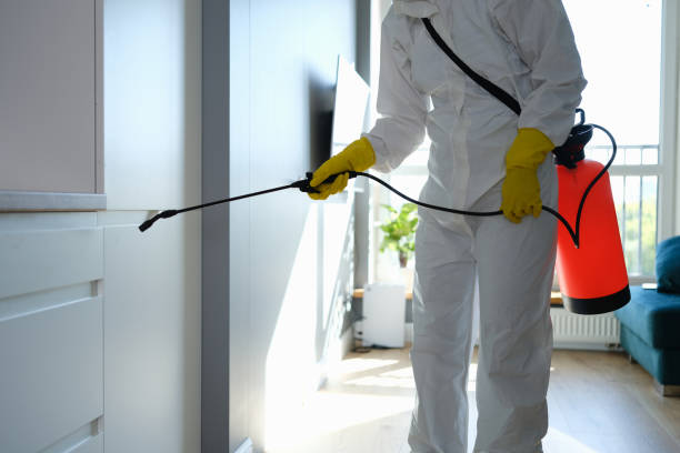 Best Residential Mold Removal  in Poncha Springs, CO